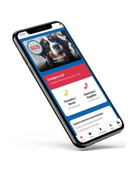 Tiermarke Pfotenform Aluminium – QR-Code Tier-ID mit Online-Profil