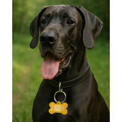 Hundemarke "Knochen" aus Aluminium Orange mit QR-Code