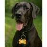 Hundemarke "Knochen" aus Aluminium Orange mit QR-Code