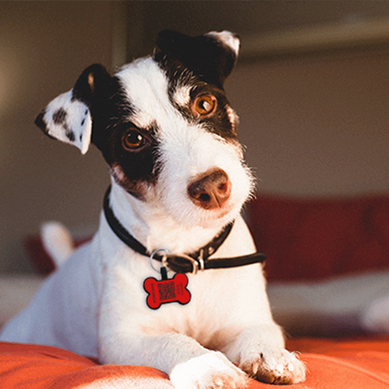 Pet-Tag SOS "Bone" Silicone Red