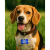 %product-name% Hund
