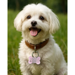 Hundemarke "Knochen" aus Aluminium Rosa mit QR-Code