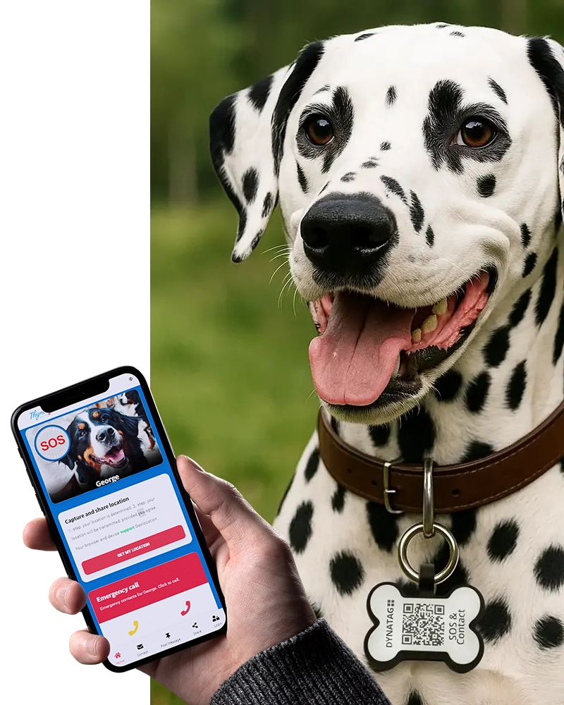 SOS-pet-tag-all-info-on-pet-collar.webp